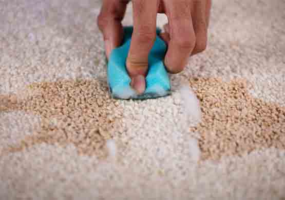 Best Carpet Cleaning Broadbeach Waters